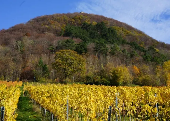 Beurener Hof Hotel 3*