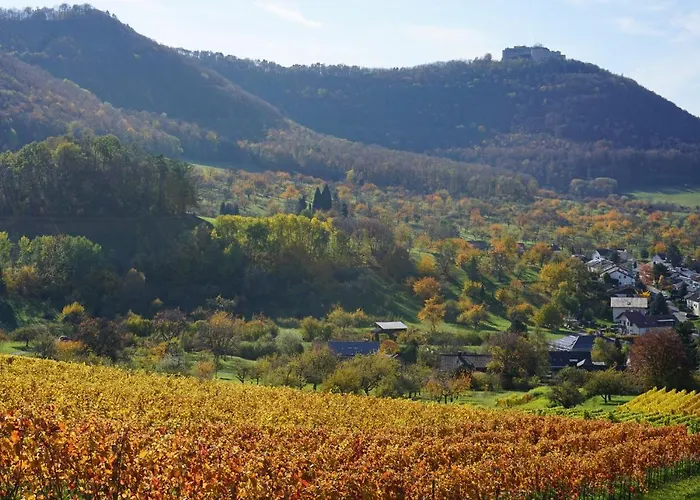 Beurener Hof Szálloda Beuren